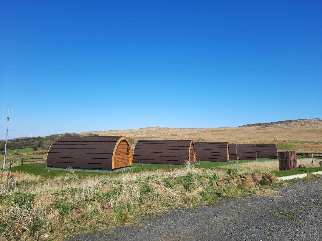 Standing Stones Lodge Belfast Exterior foto